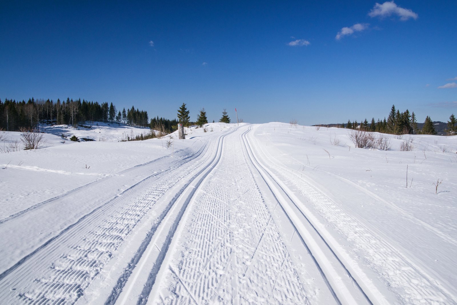 Fjellfølelse i Toresplassrunden
