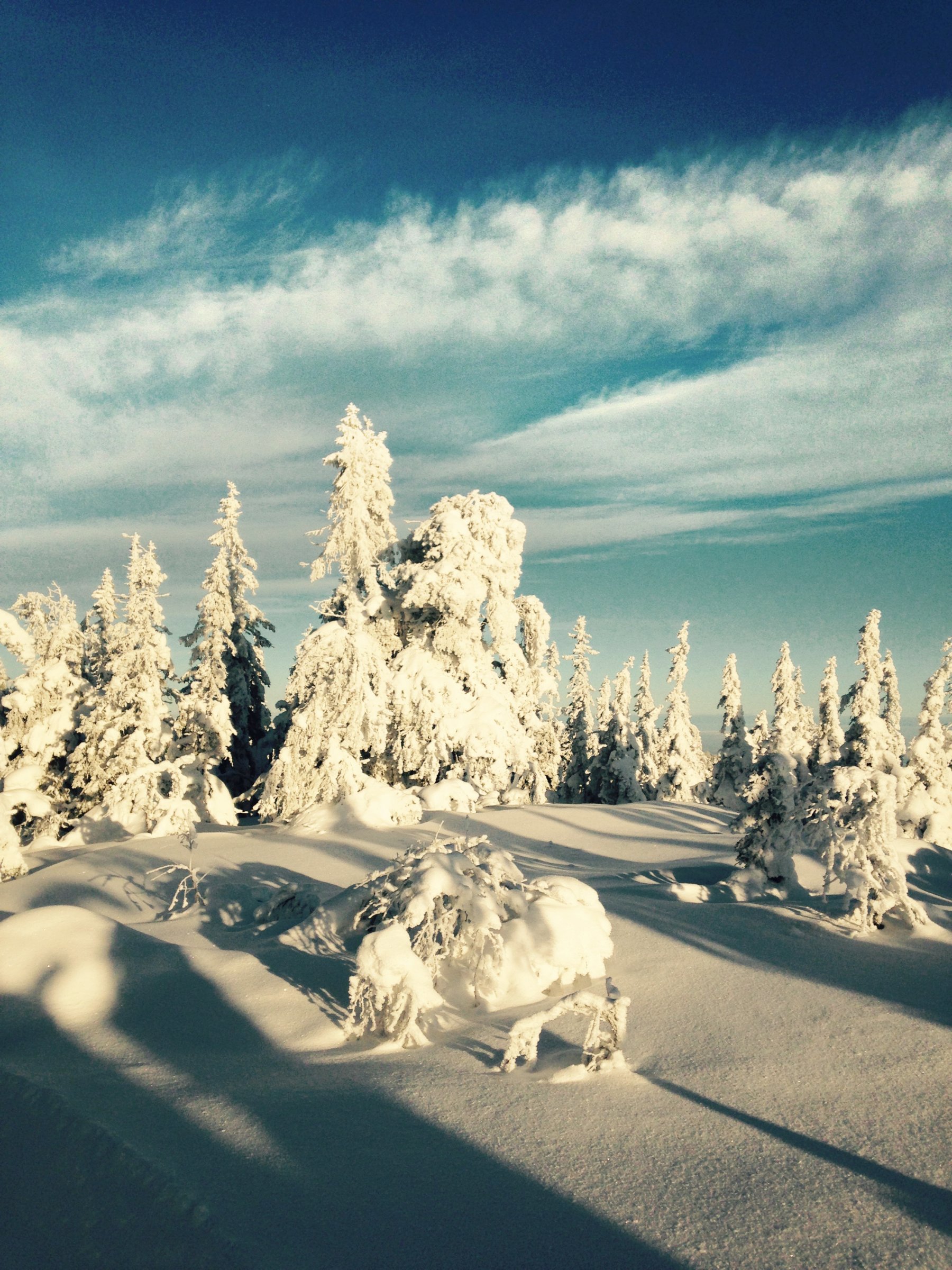 Fjellfølelse på Kvitingen