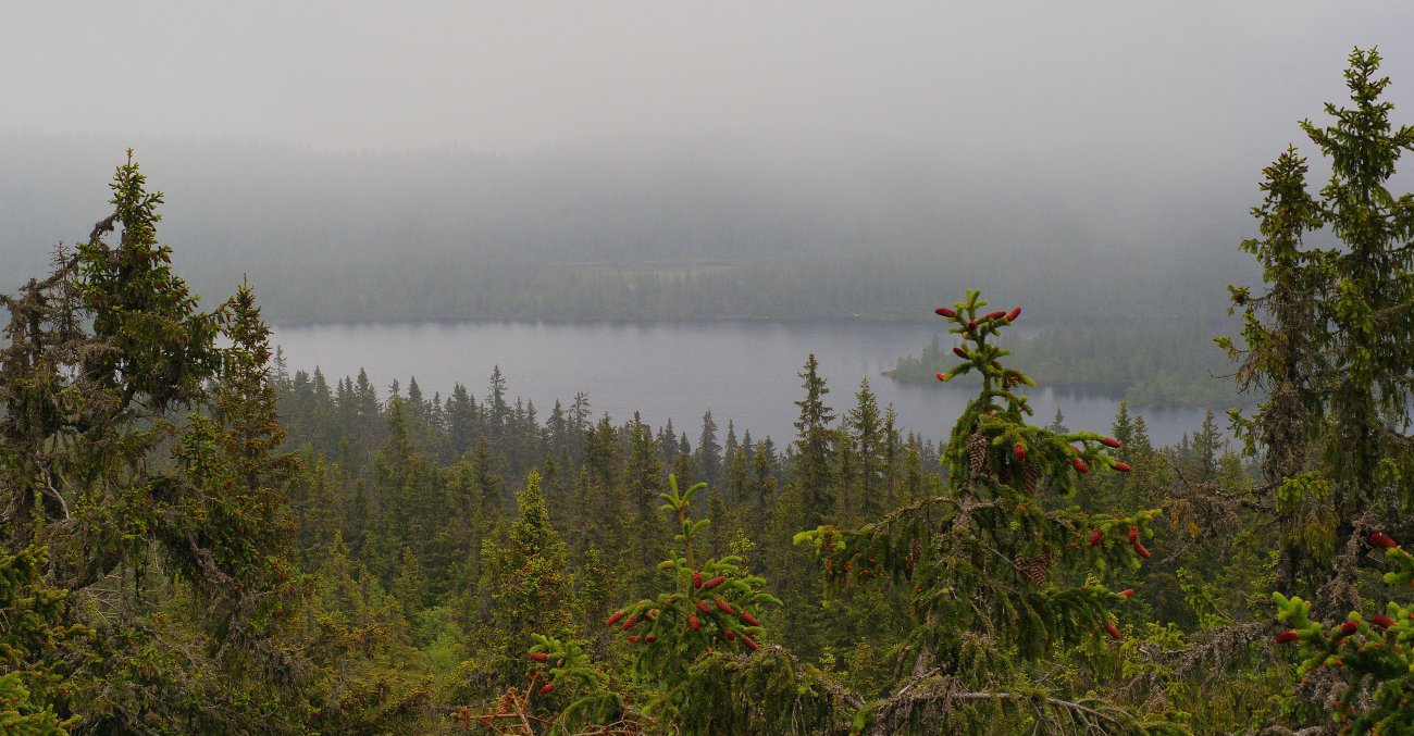 Fjellsjøen sett fra fjellet