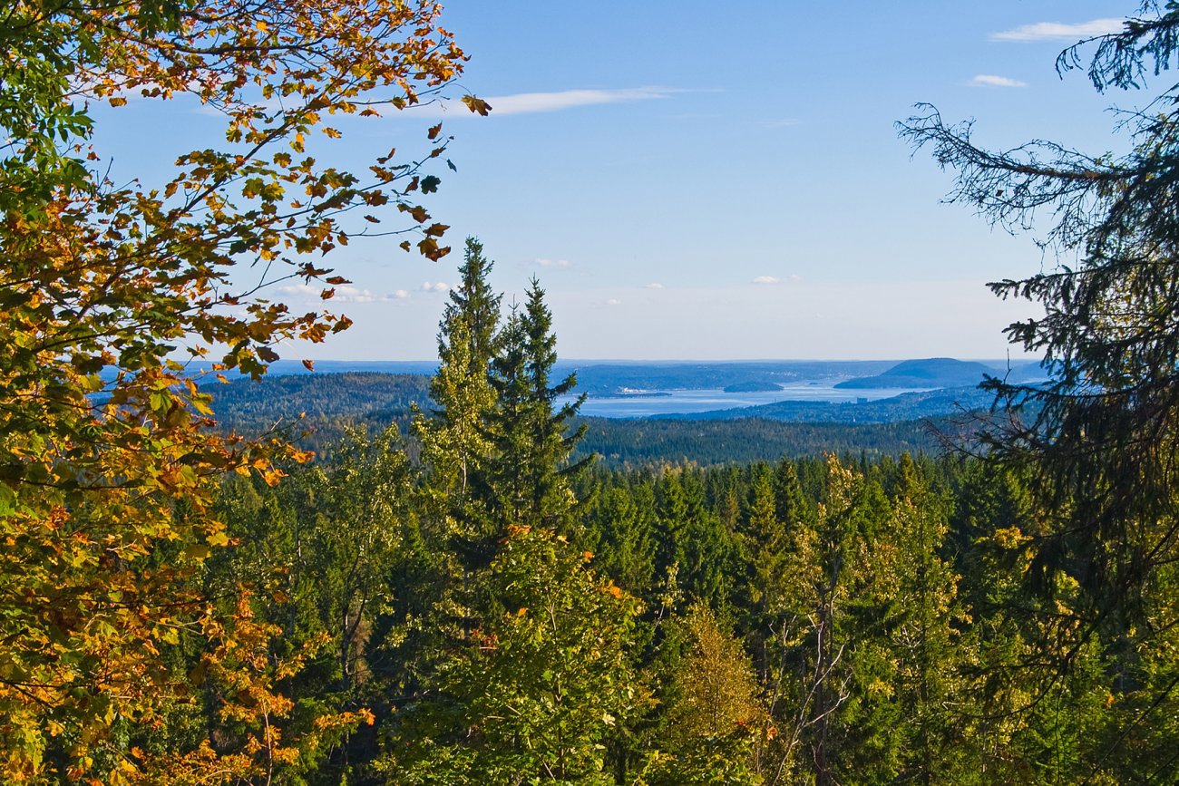 Fjordutsikt fra Gampen
