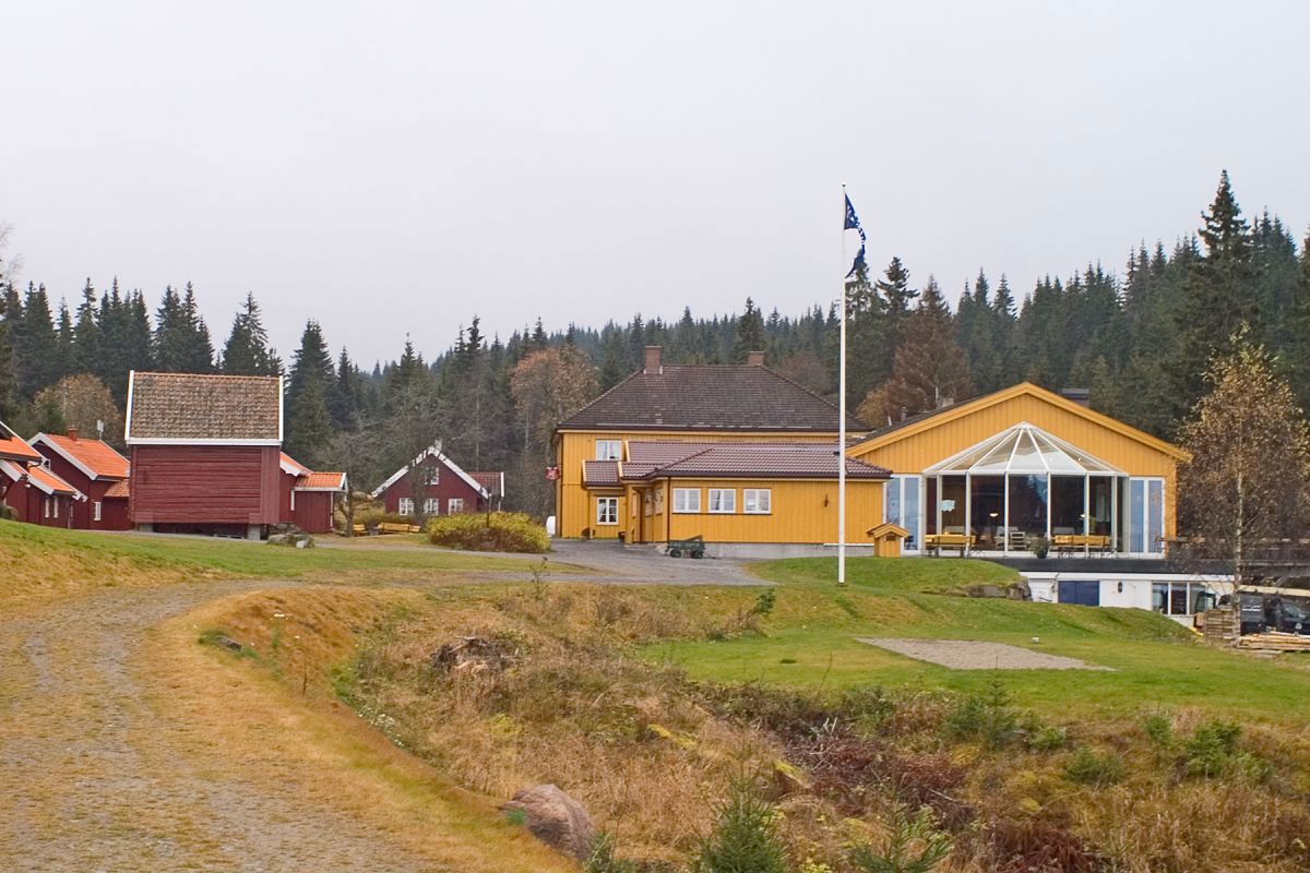 Flagget vaier på Kleivstua