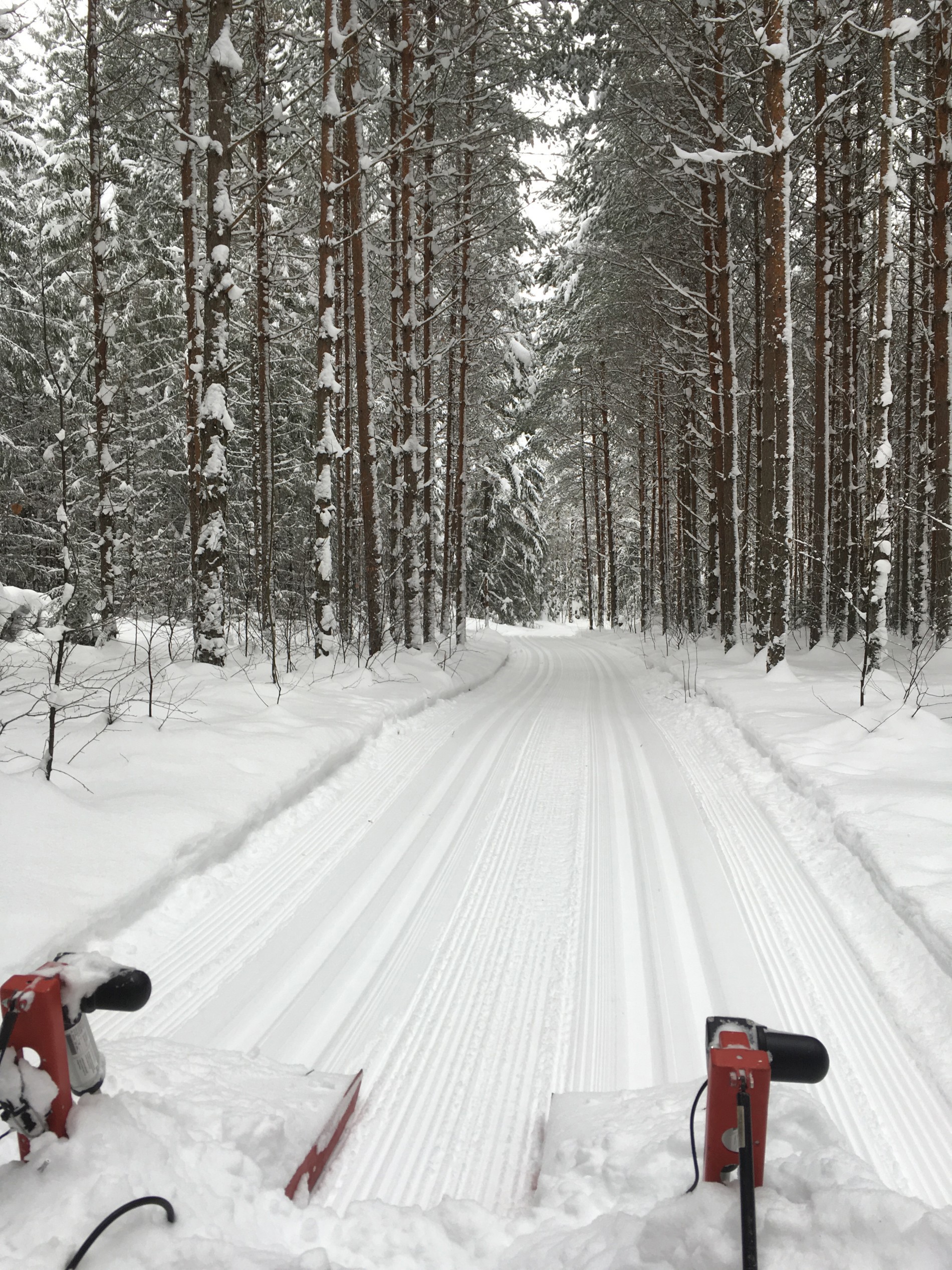 Flat, fin løype mot Helgelandsmoen