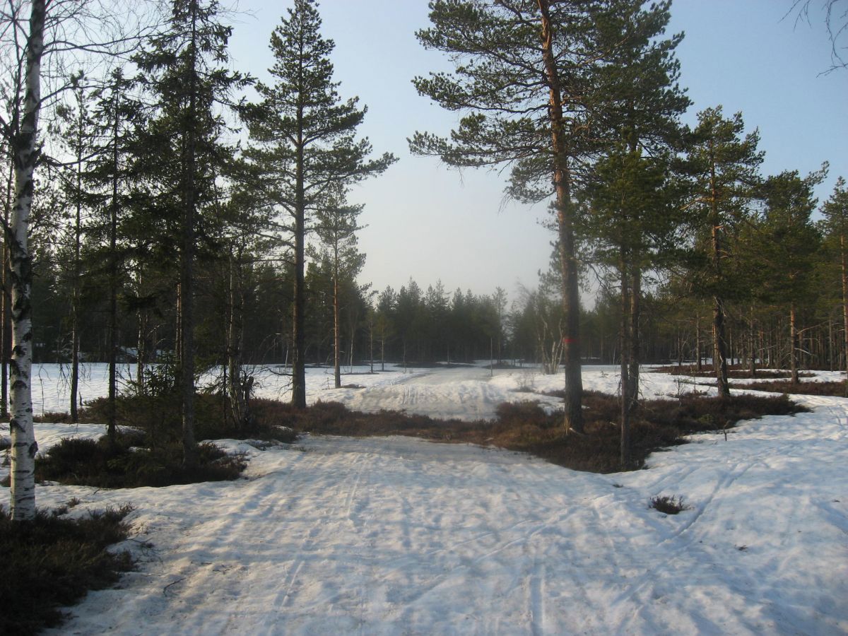 Flere og flere bare flekker