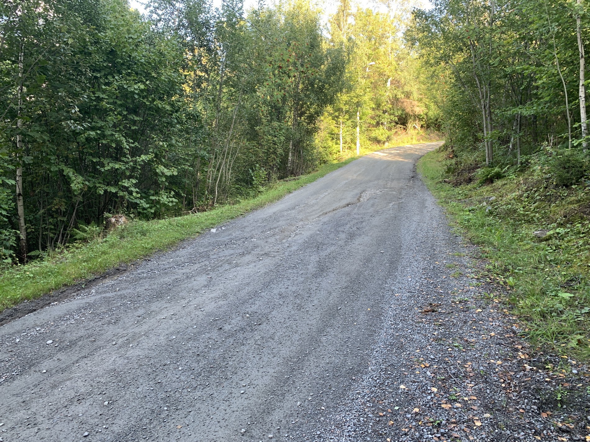 Flomskader ved Gjesvalåsen