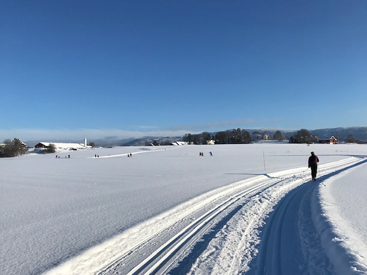 Flott dag i Holebygda