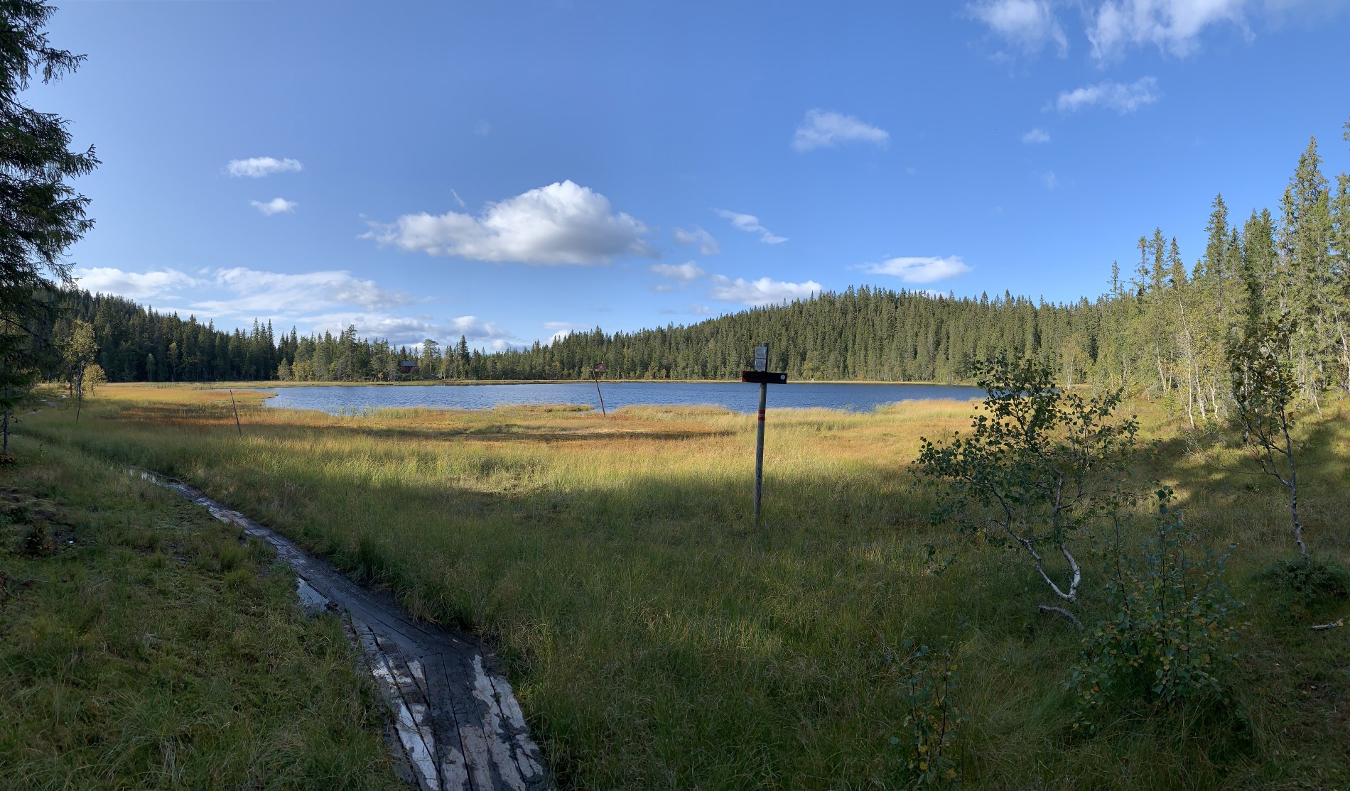 Flott høstdag ved Steinbutjern