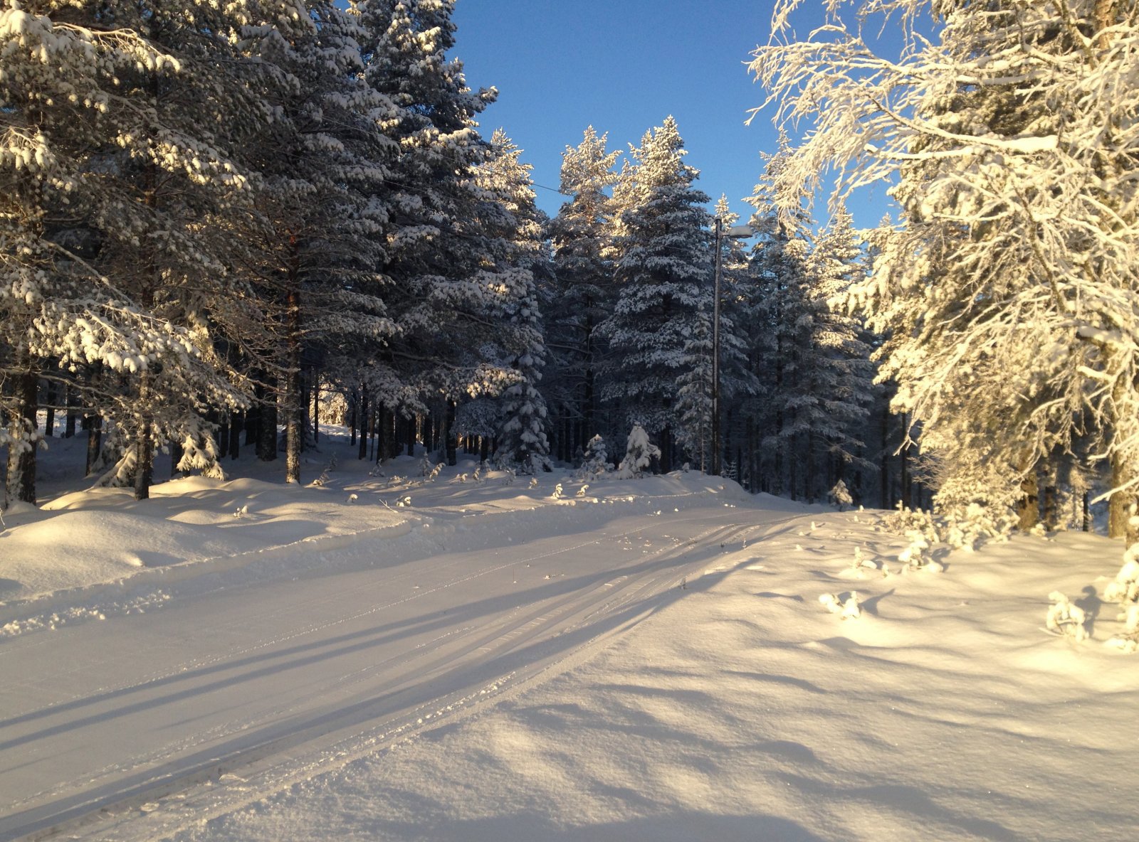 Flott i lysløypa på Snauhaug