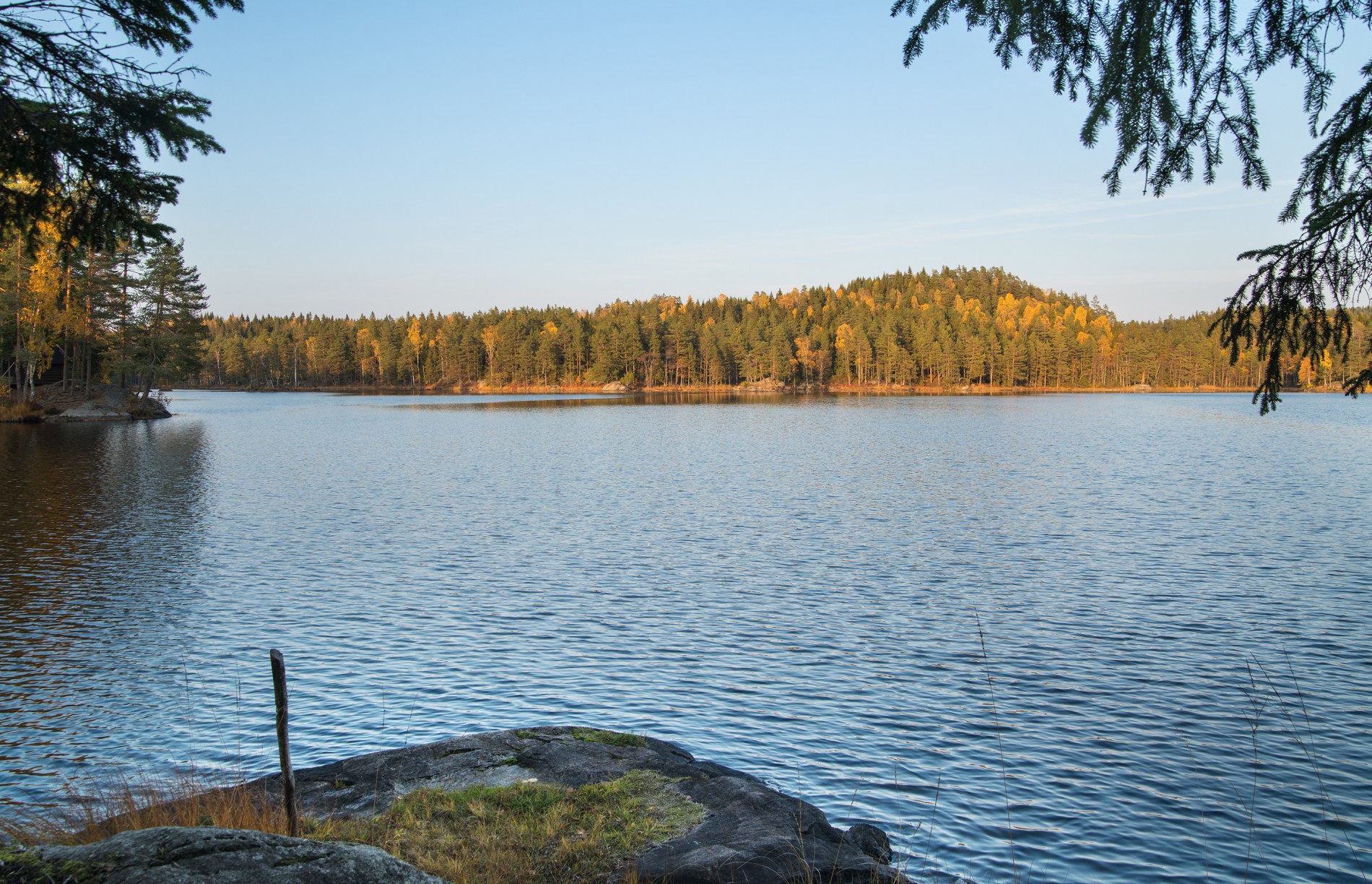 Flott oktoberkveld ved Holmetjernet