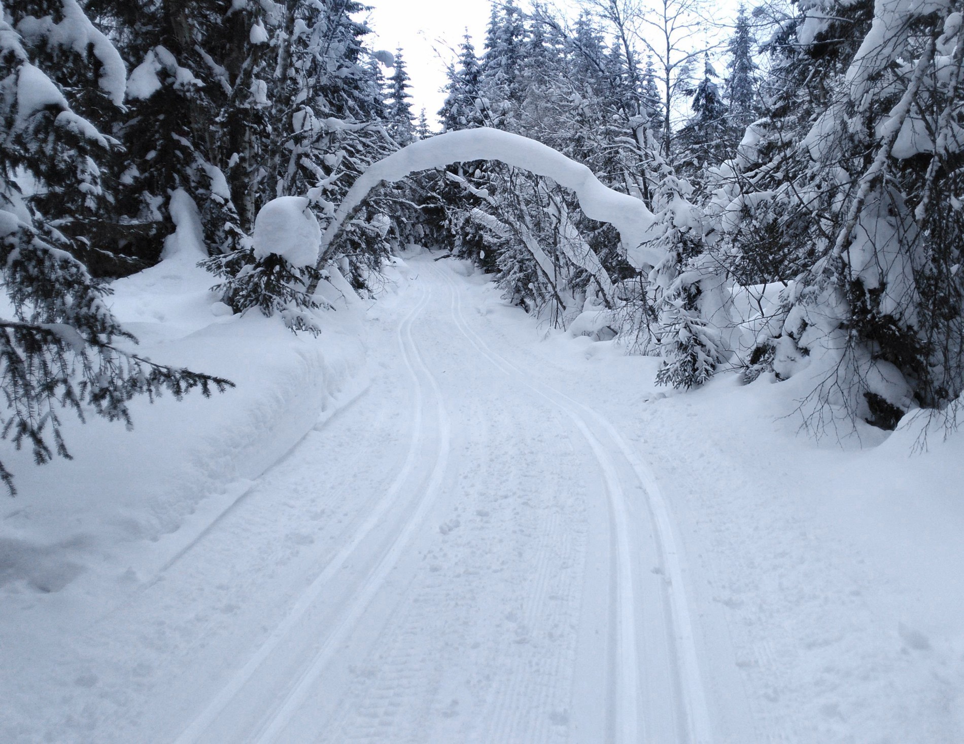 Flott portal over løypa