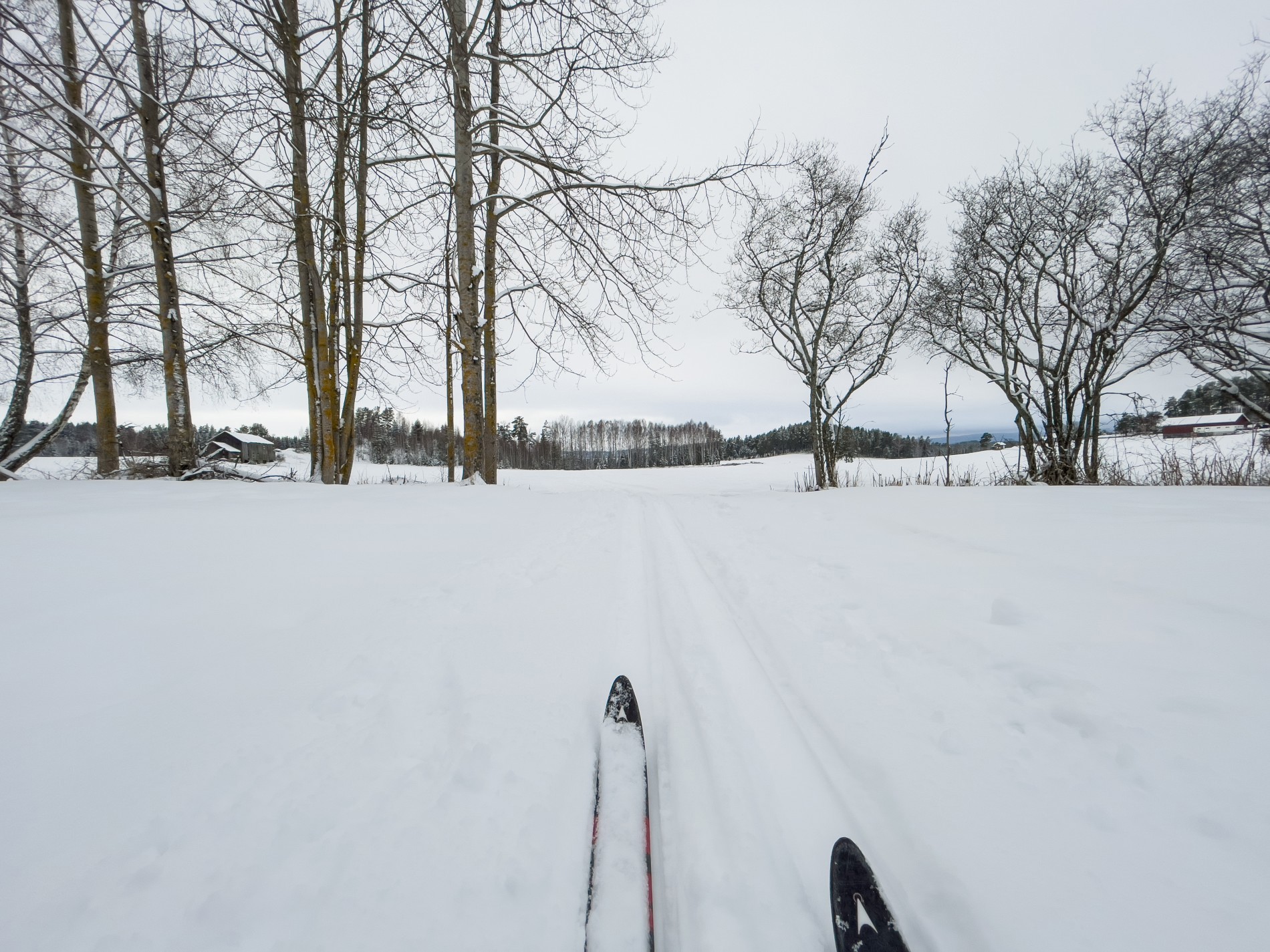 Flott portal ved Viksenga
