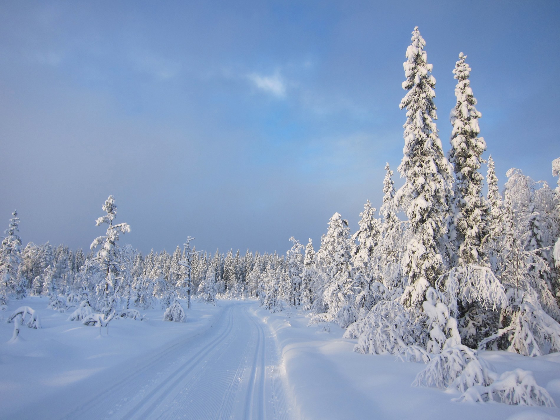 Flott start på det nye året