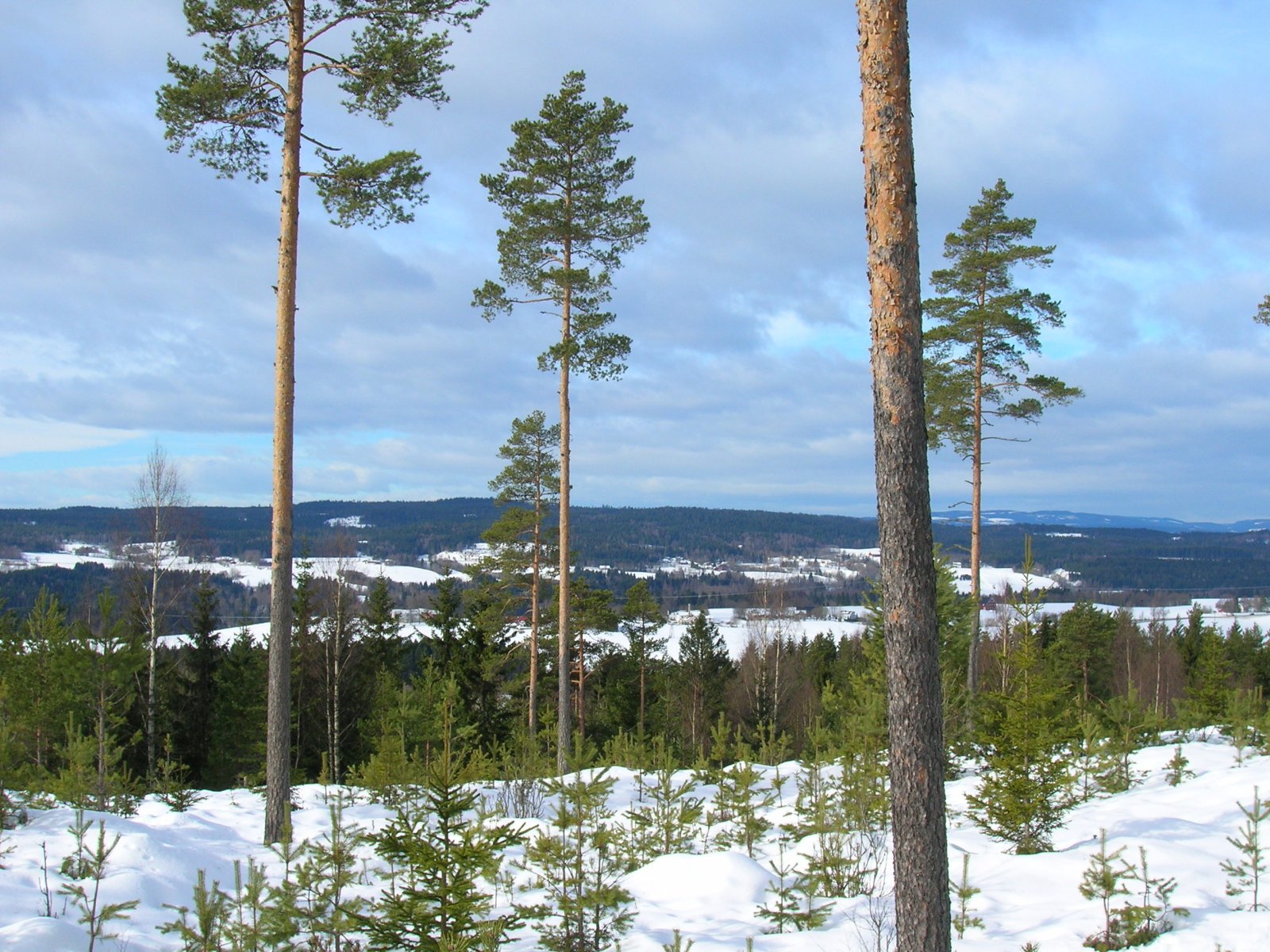 Flott utsikt fra Egilbua I