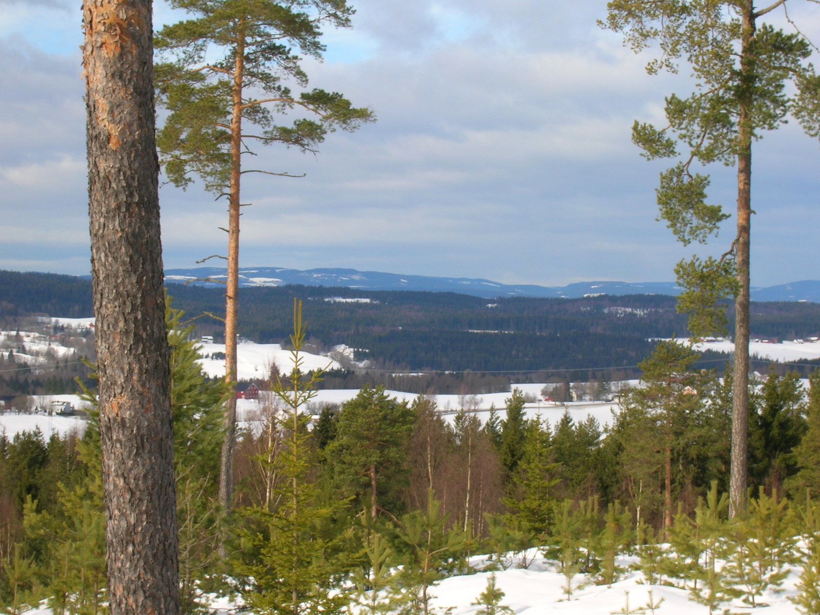 Flott utsikt fra Egilbua II
