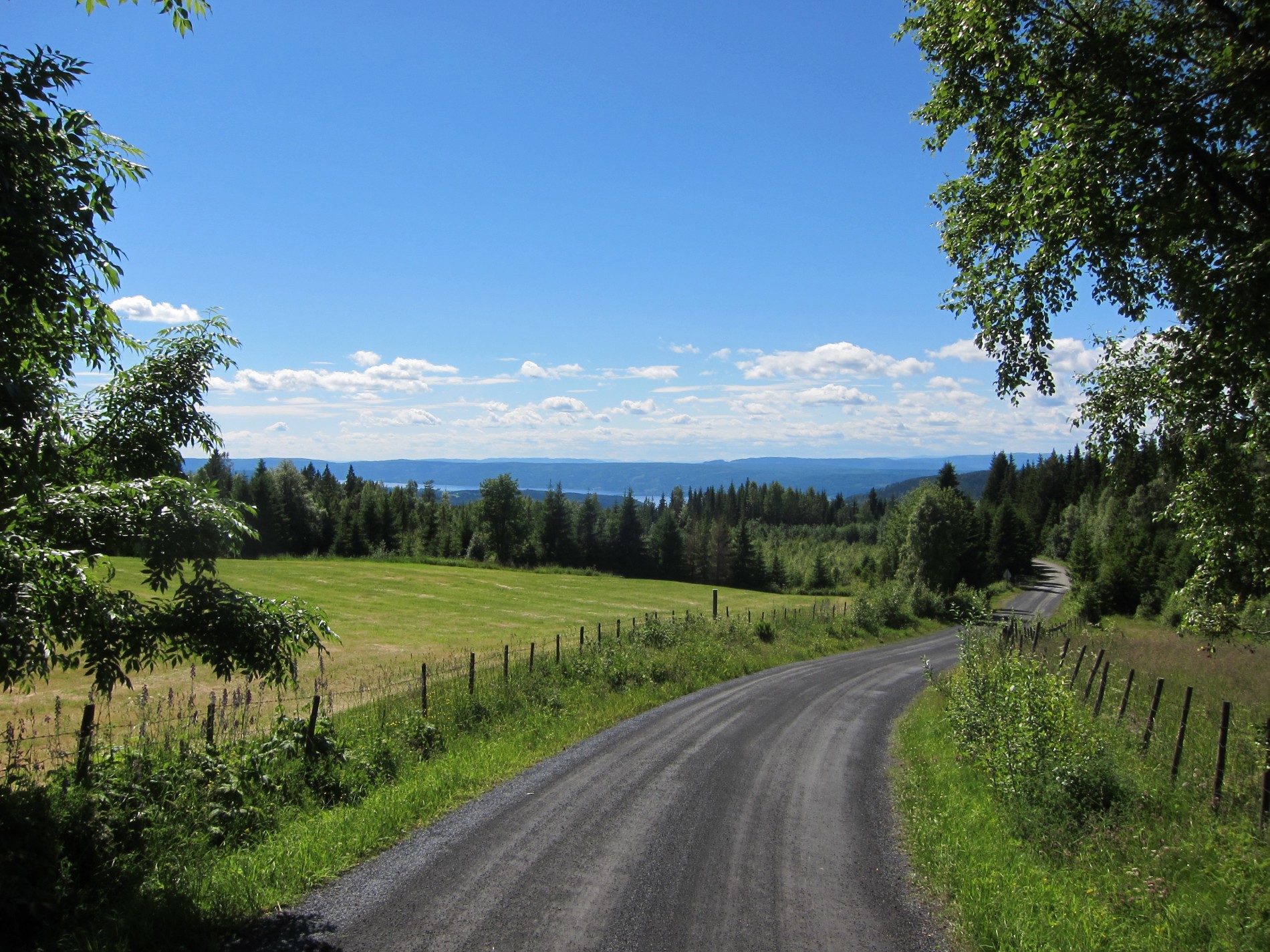 Flott utsikt fra Løvstua