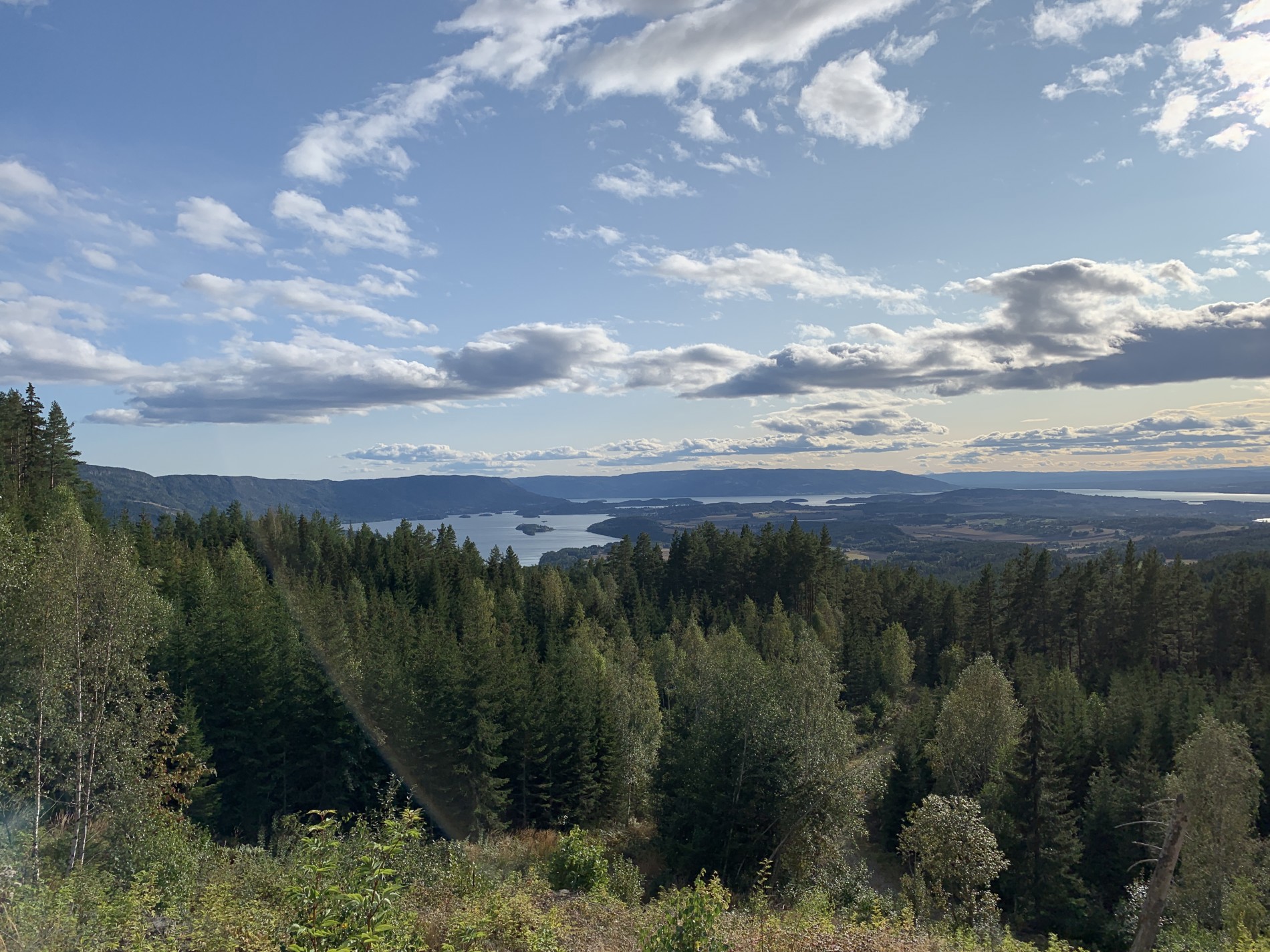 Flott utsikt over Ringerike og Holebygda