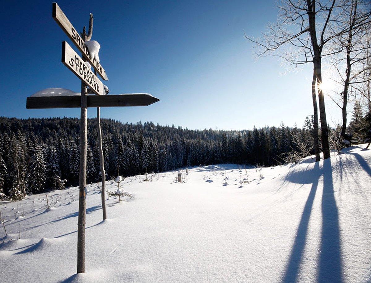 Flott vinterdag i Hurummarka