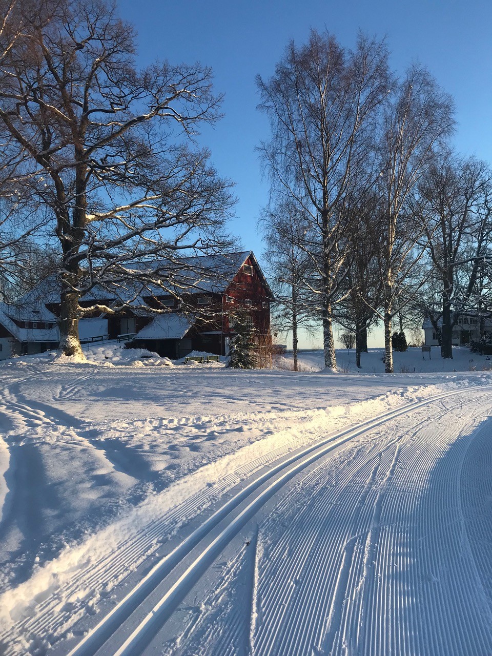 Flott vinterdag ved Grønsand Gjestegård