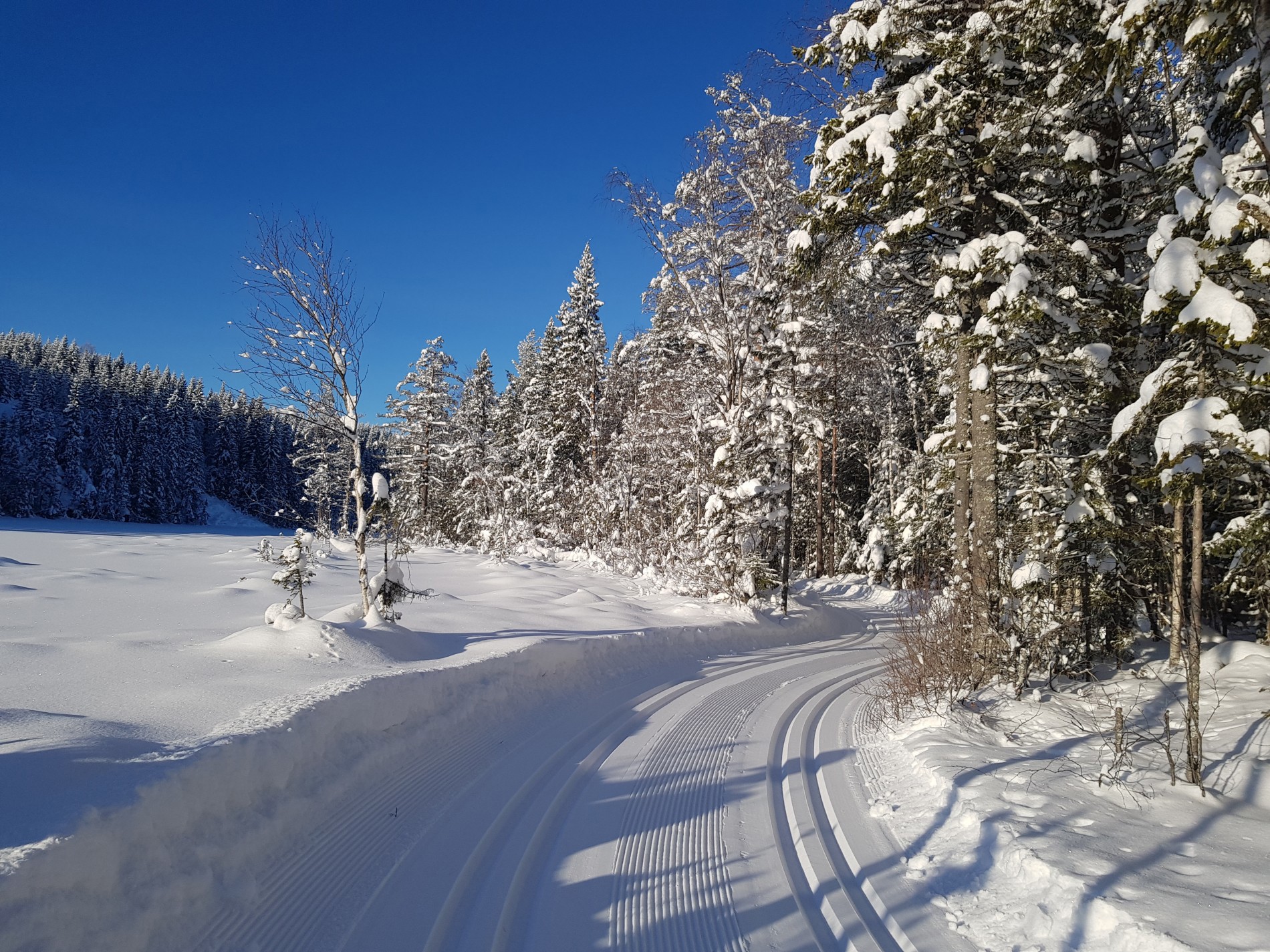 Flott vinterstemning ved Auretjernet