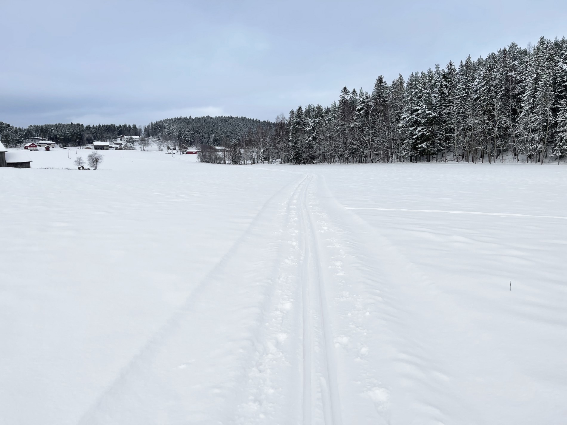 Flotte bygdeskiløyper ved Viksenga