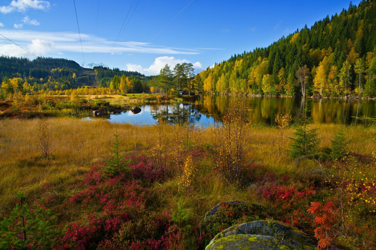 Flotte farger ved Vestre Fyllingen