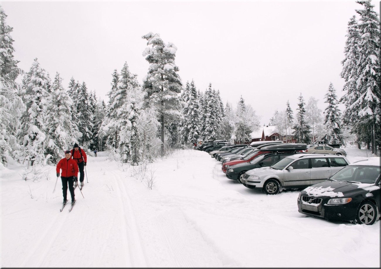 Flotte forhold i Gjøvikmarka