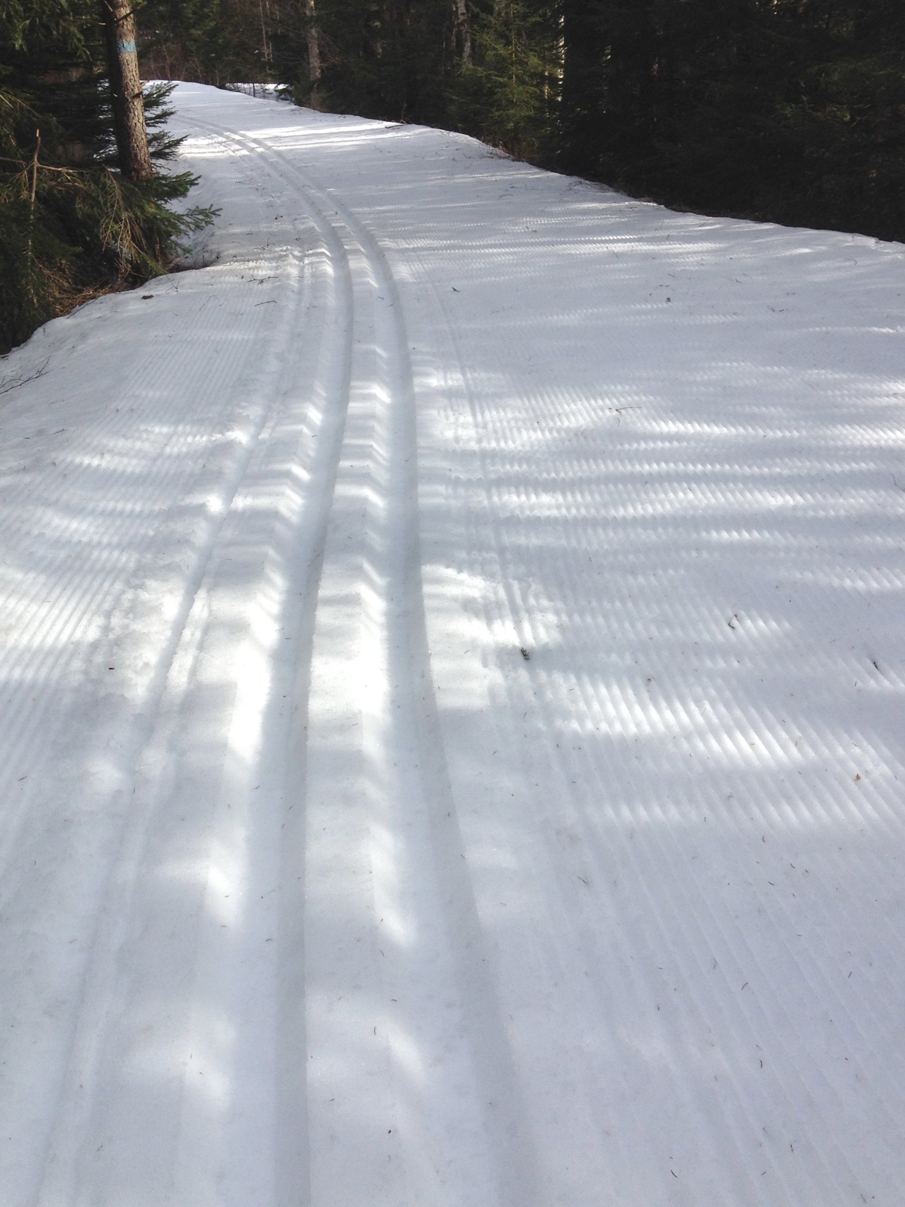 Flotte forhold i Hurummarka