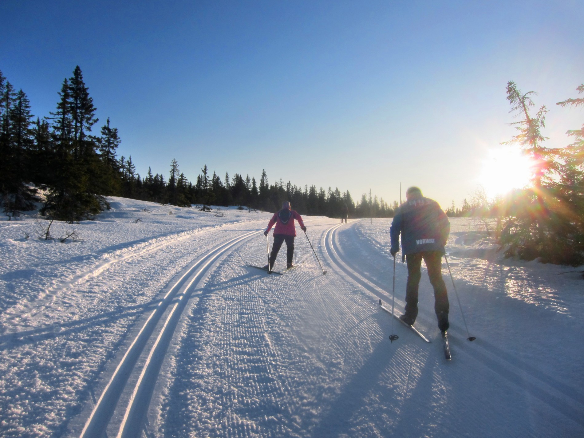 Flotte forhold i Totenåsløypers trase på åsen