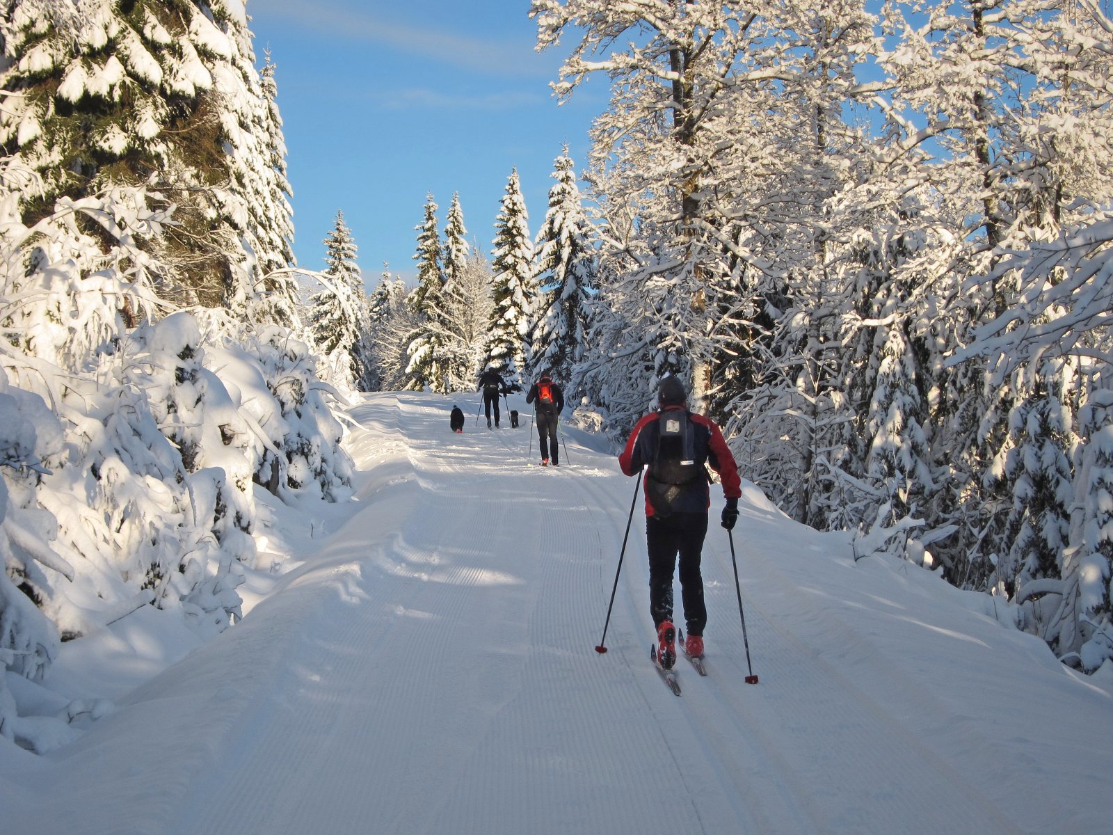 Flotte forhold opp Dammyrdalen