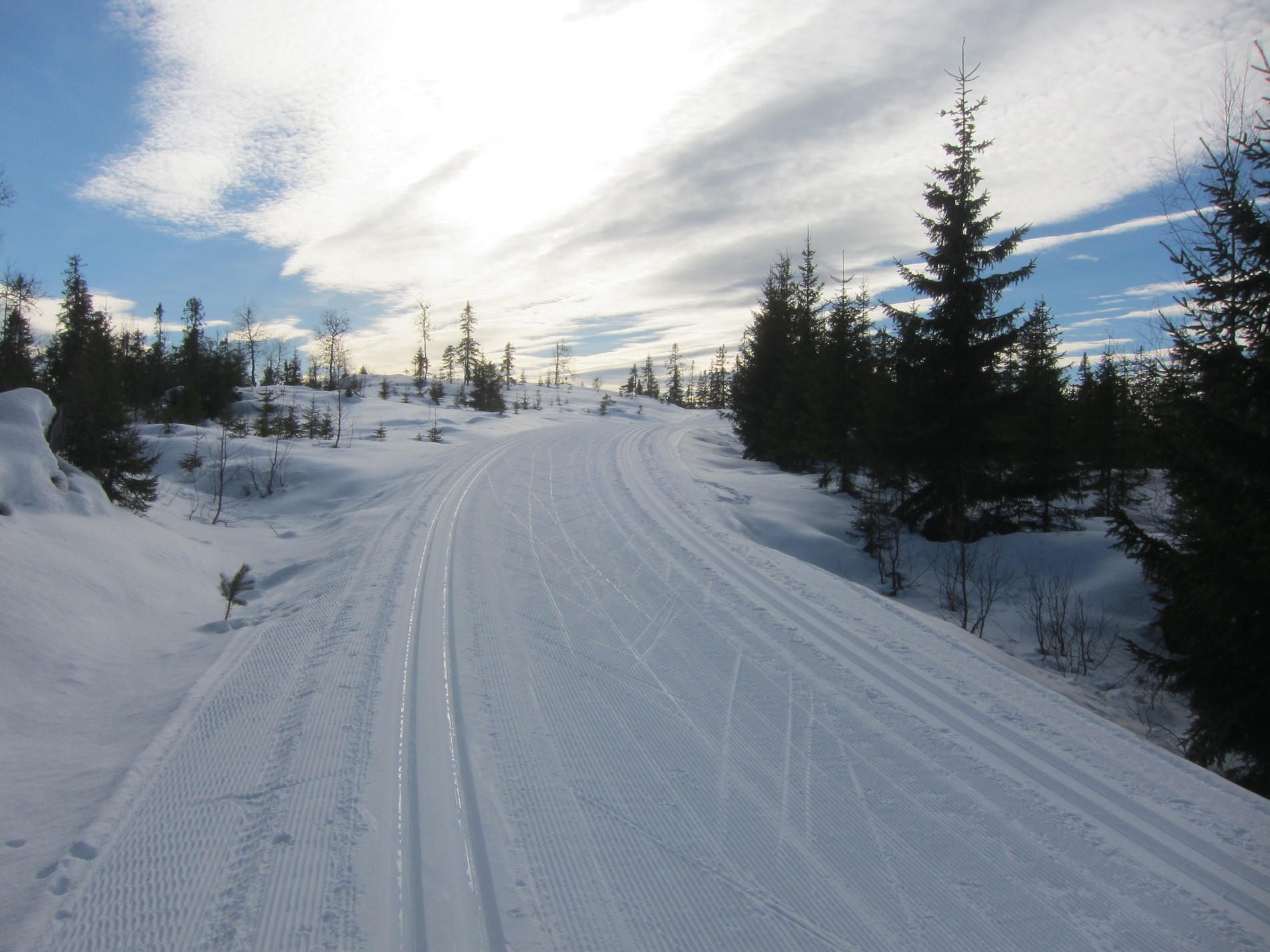 Flotte forhold på Arneputtvegen