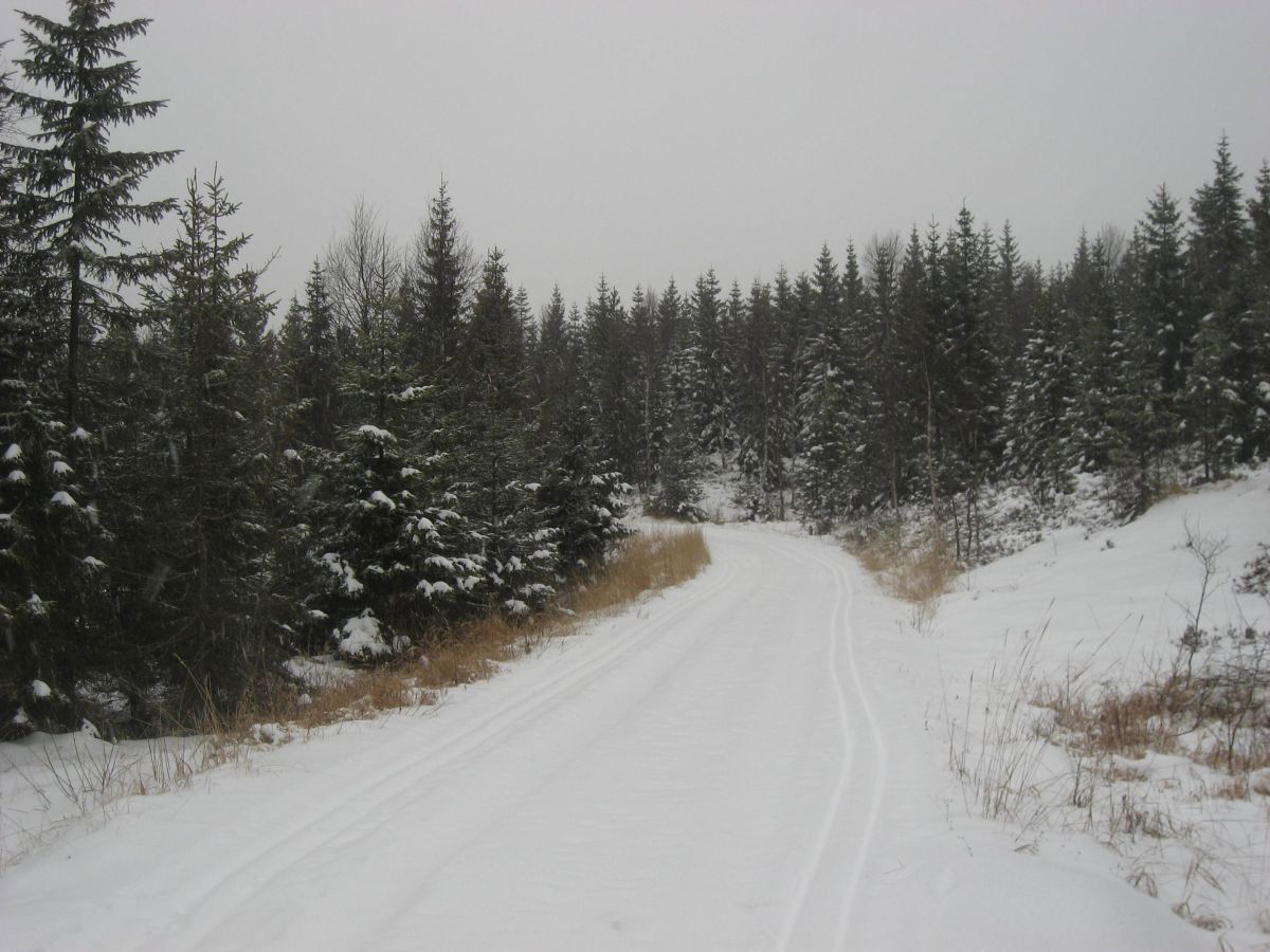 Flotte forhold på Holmetjernsveien