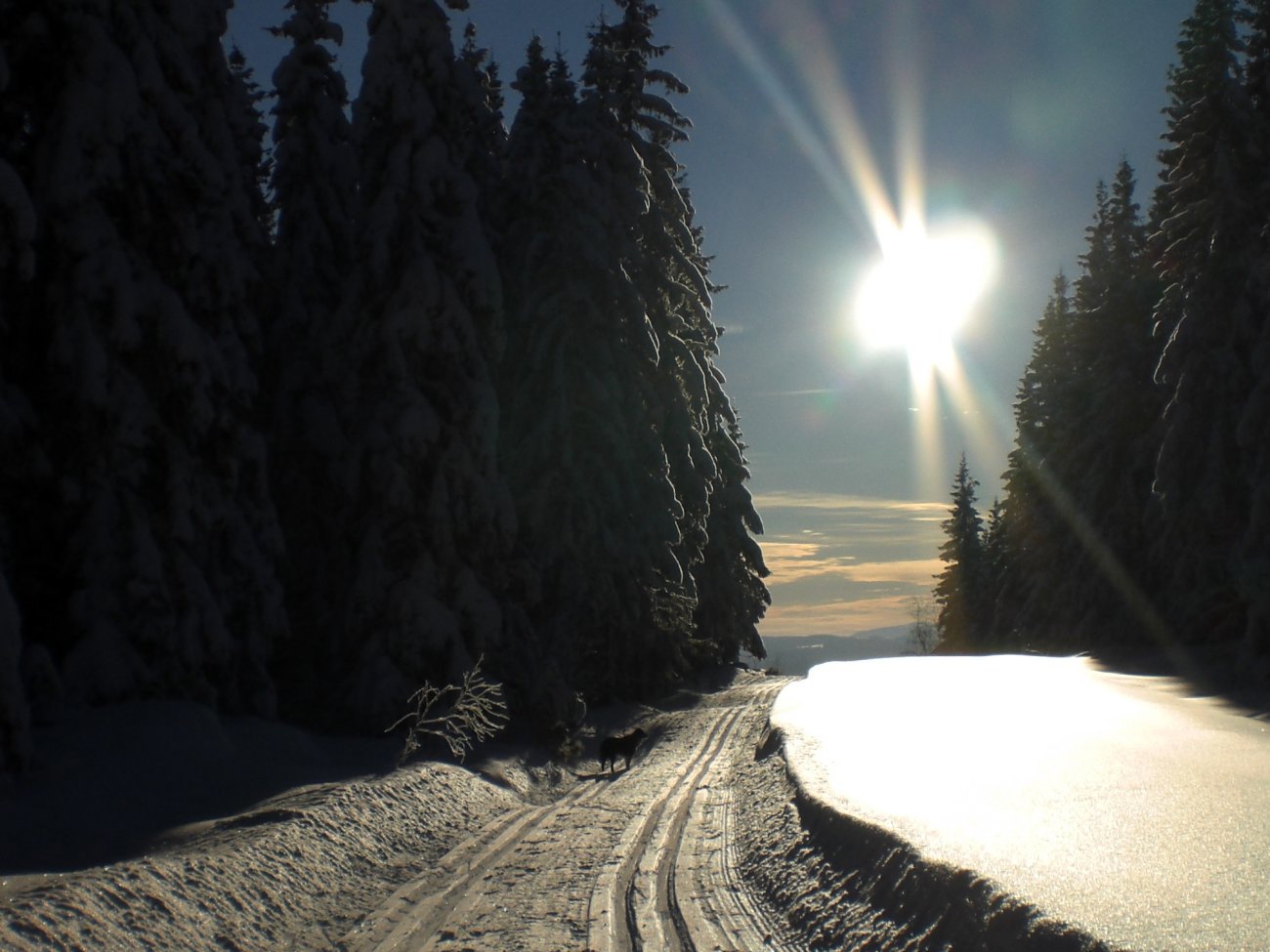 Flotte forhold på Søndre Land østås