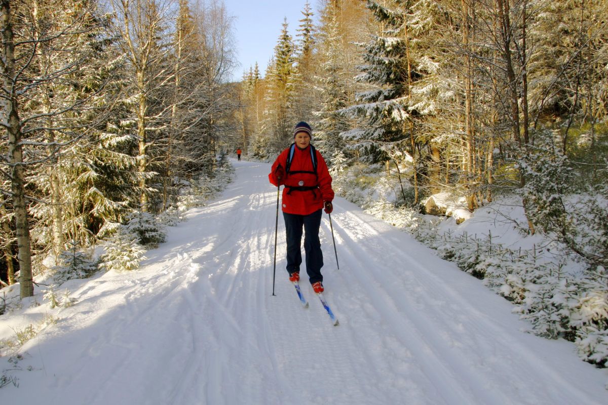 Flotte forhold ved Gjerdingen