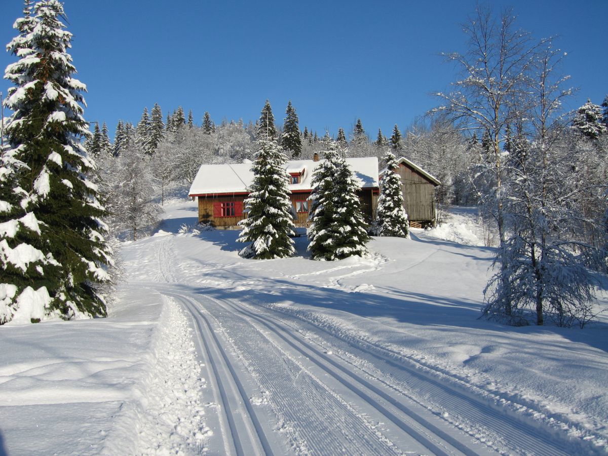 Flotte forhold ved Sørskogen