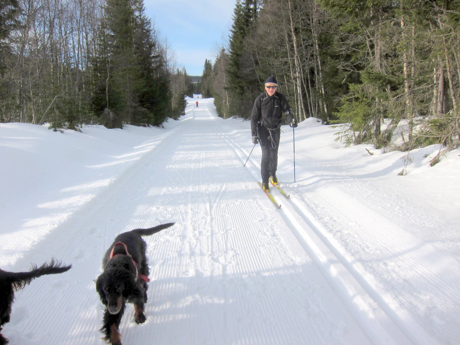 Flotte løyper, flotte forhold