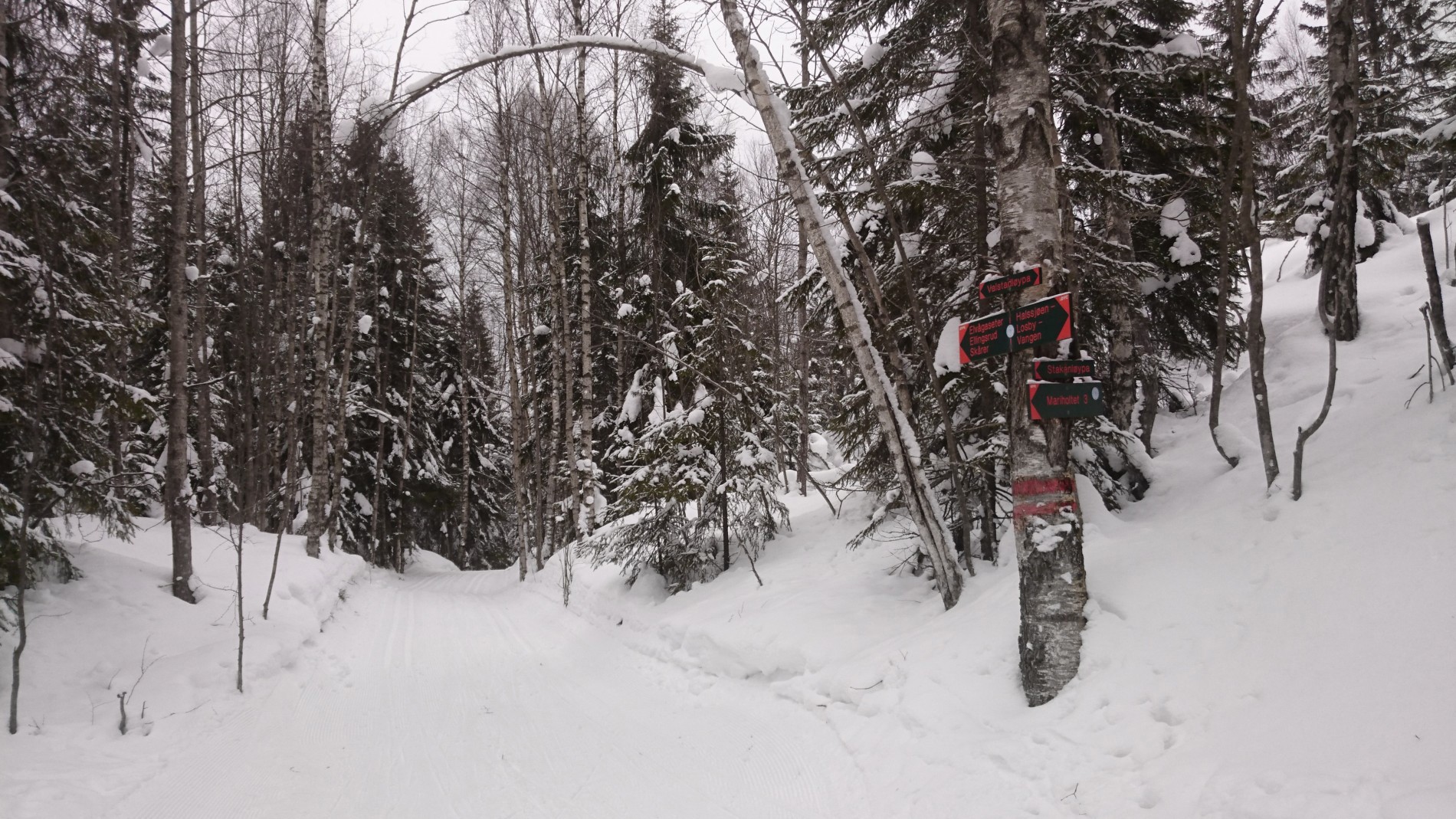 Flotte løyper for to Østmarka-venner!