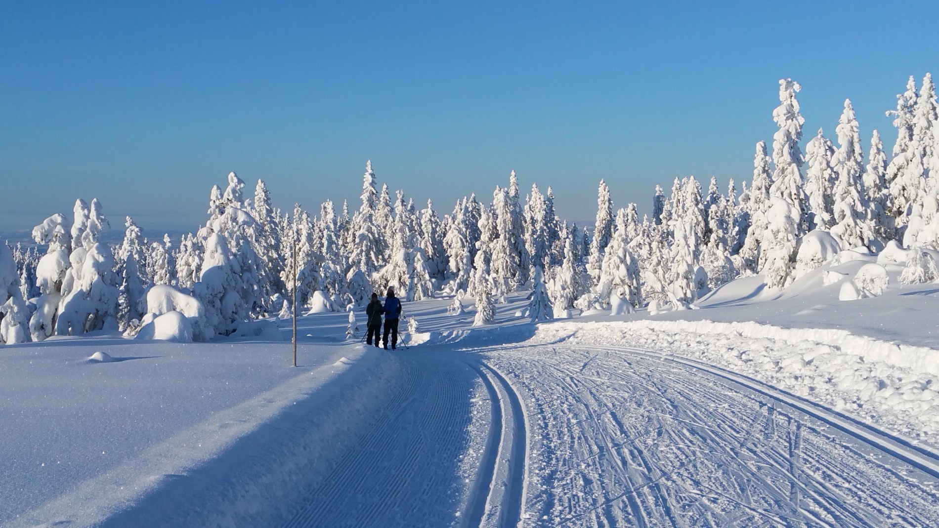 Flotte løyper på Totenåsen
