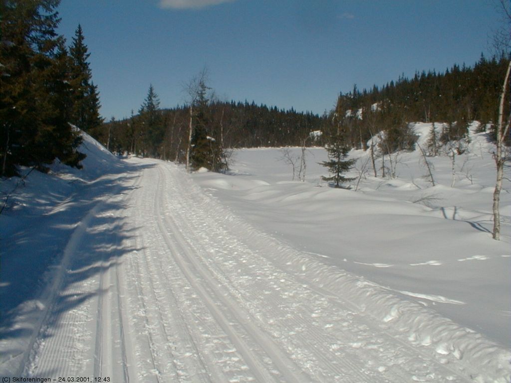 Flotte løyper ved Bakkholtjerna