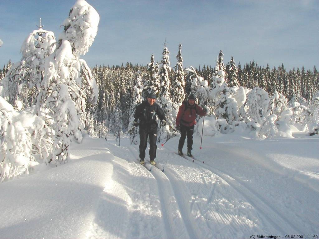 Flotte løyper ved Vambutjern
