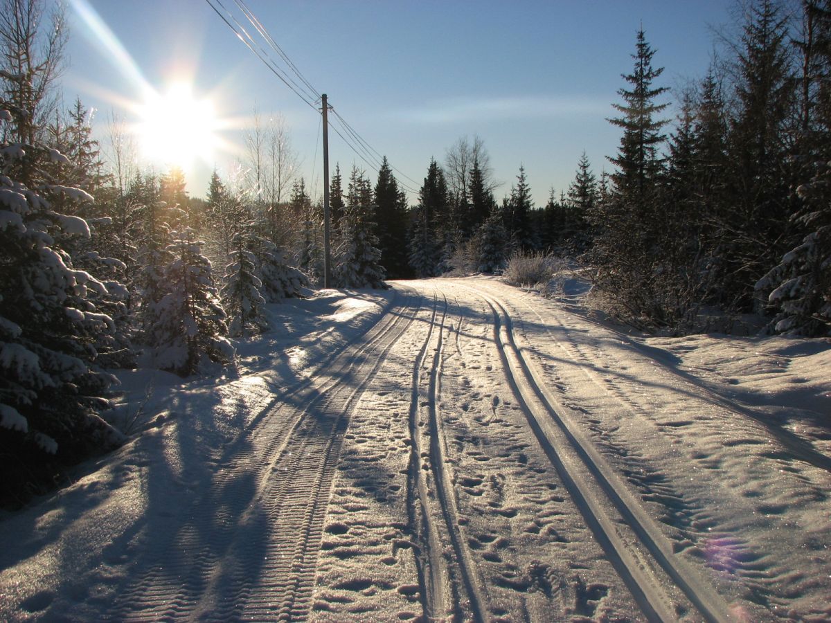 Flotte skiforhold på Åstjern
