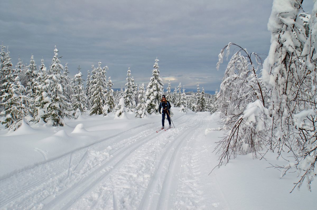 Flotte skiforhold på Krokskogen