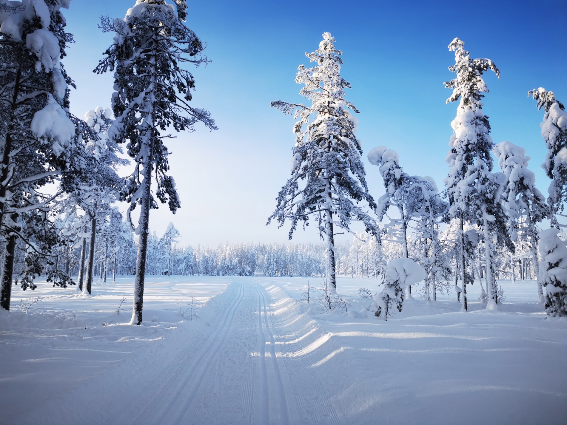 Flotte spor fra p-plassen på Tjernsmyra