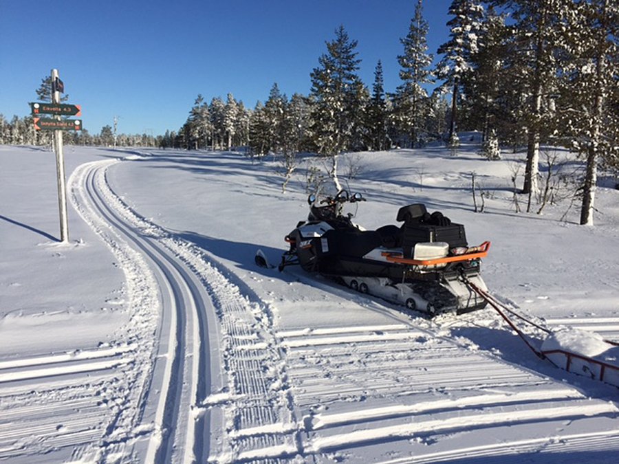 Flotte spor i Vardalsåsen