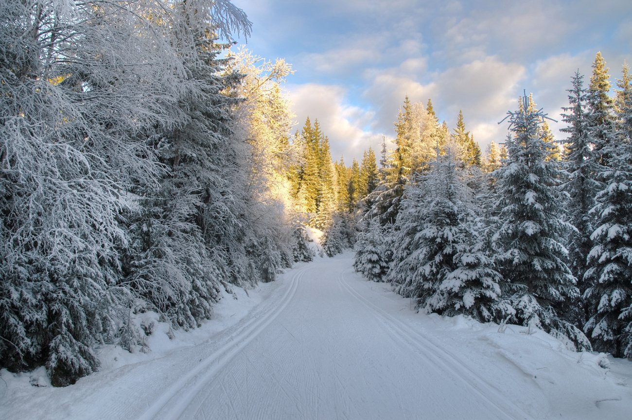 Flotte spor mellom By og Løvlia
