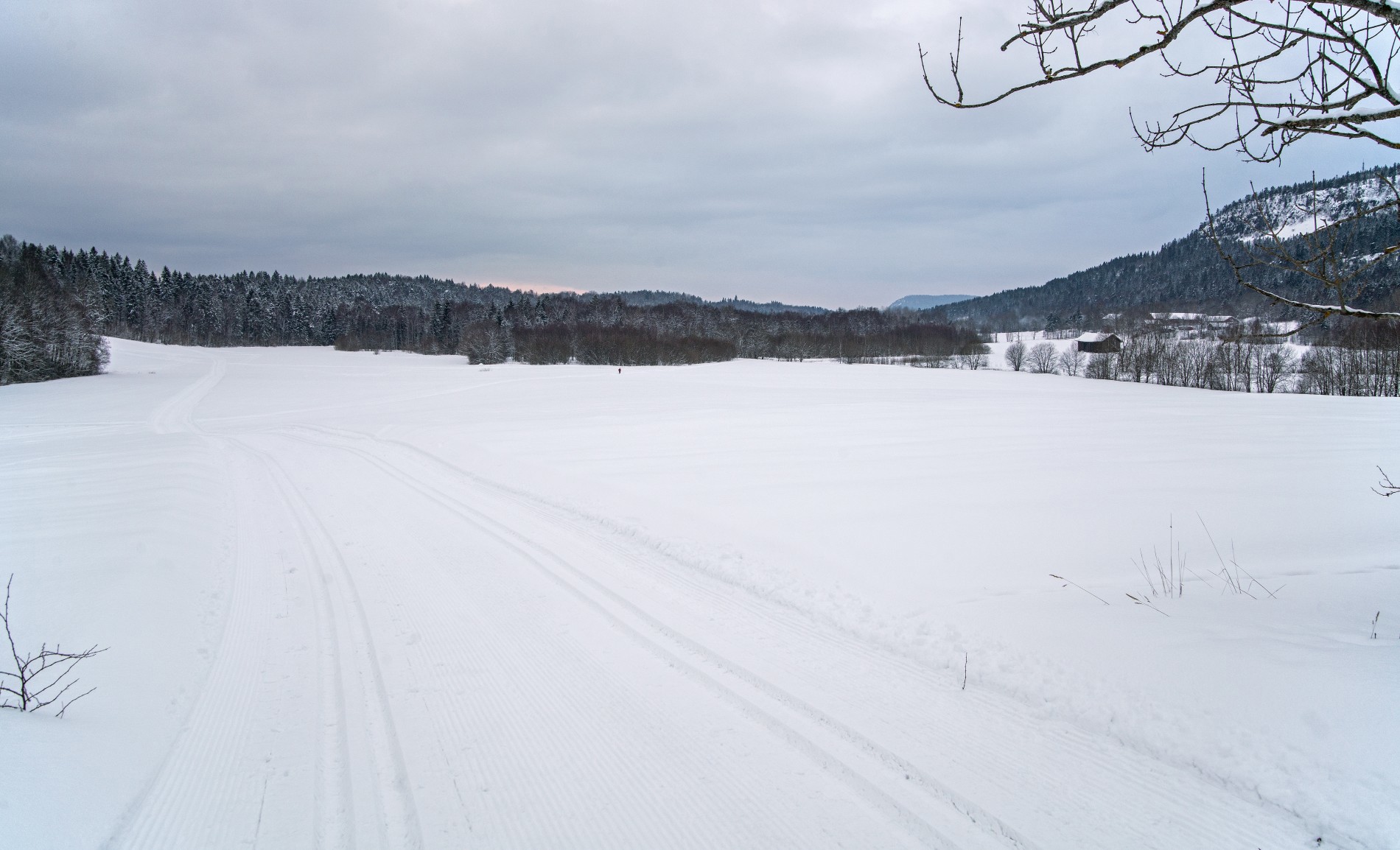 Flotte spor mot Dælivann