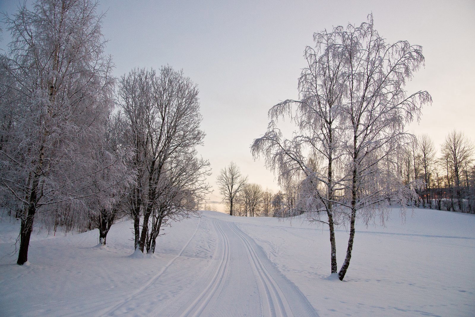 Flotte spor på golfbanen