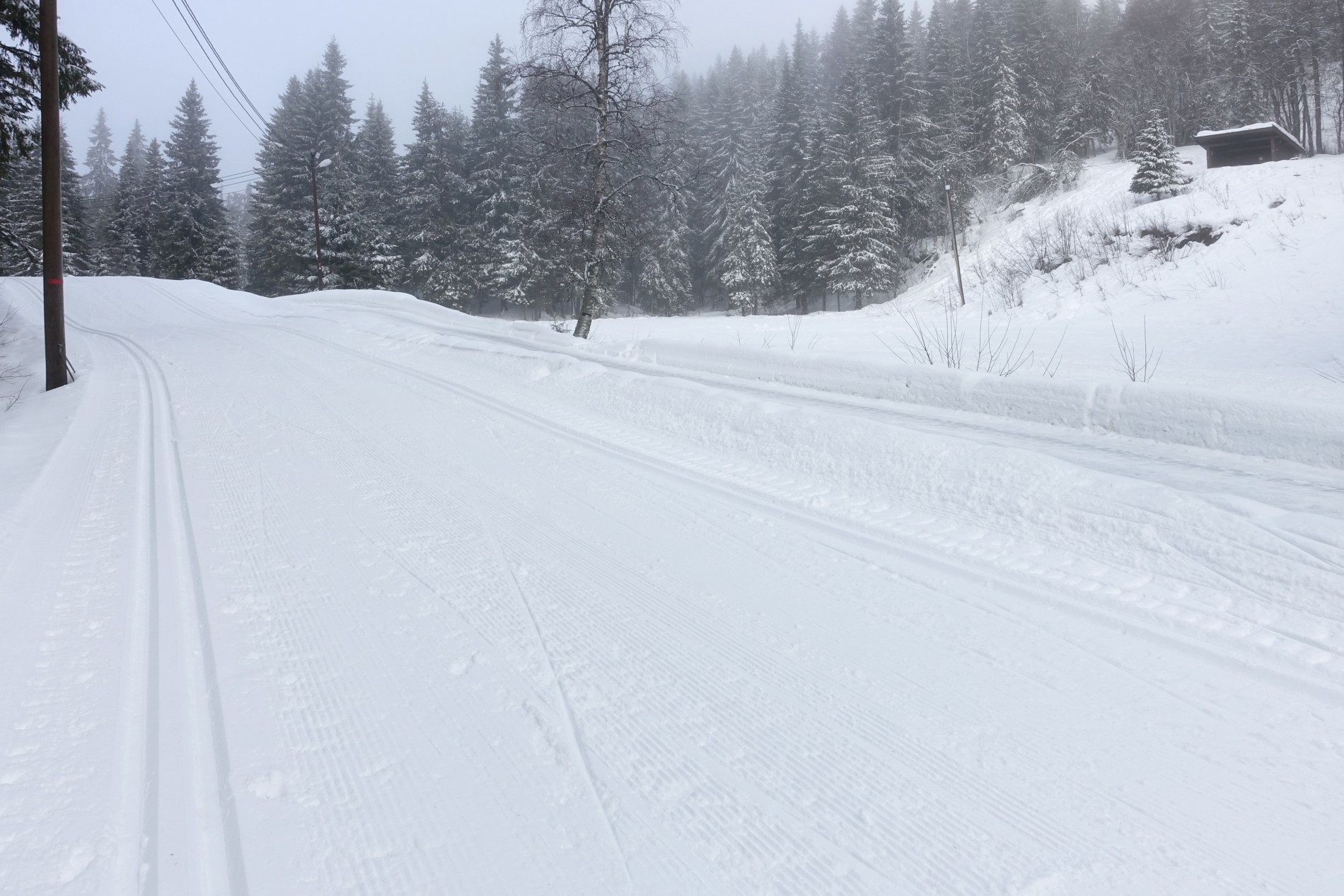 Flotte spor ved Kleivstua