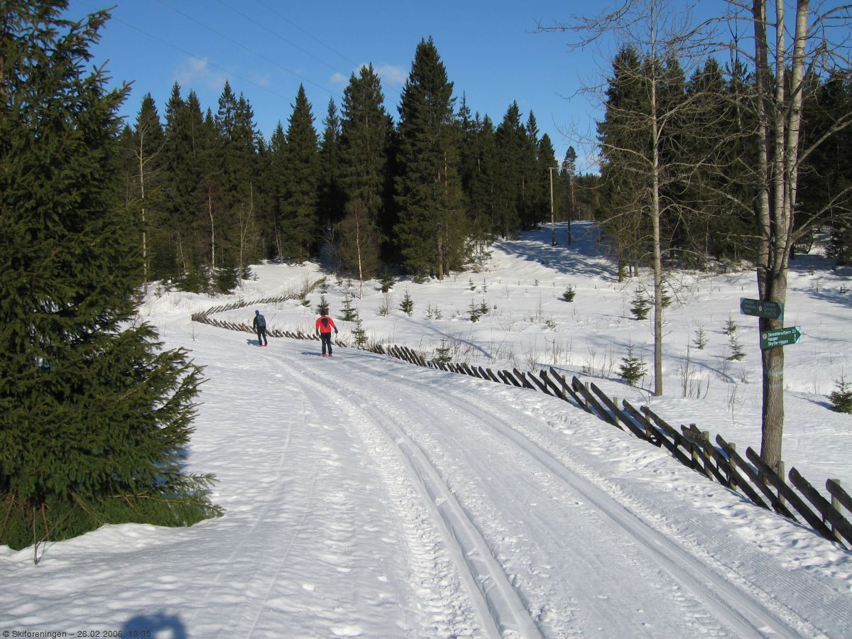 Flotte spor ved Lilloseter