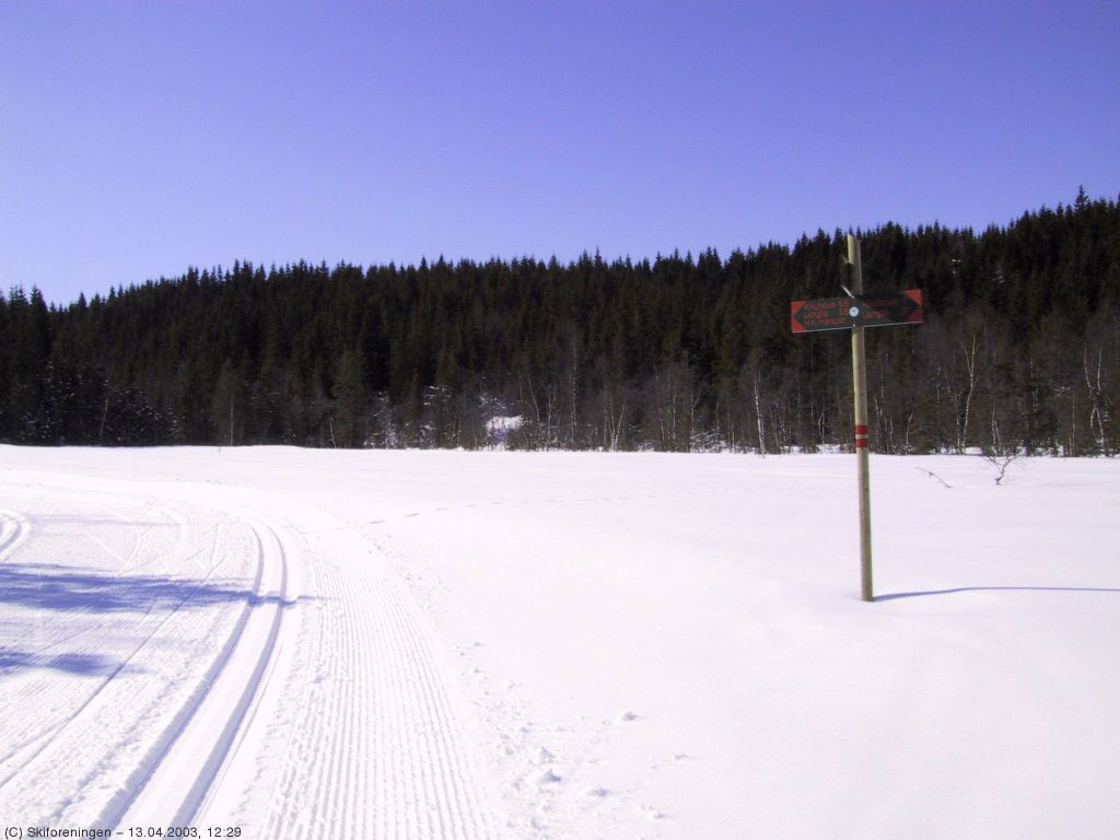 Flotte spor ved Sakristjern på Palmesøndag