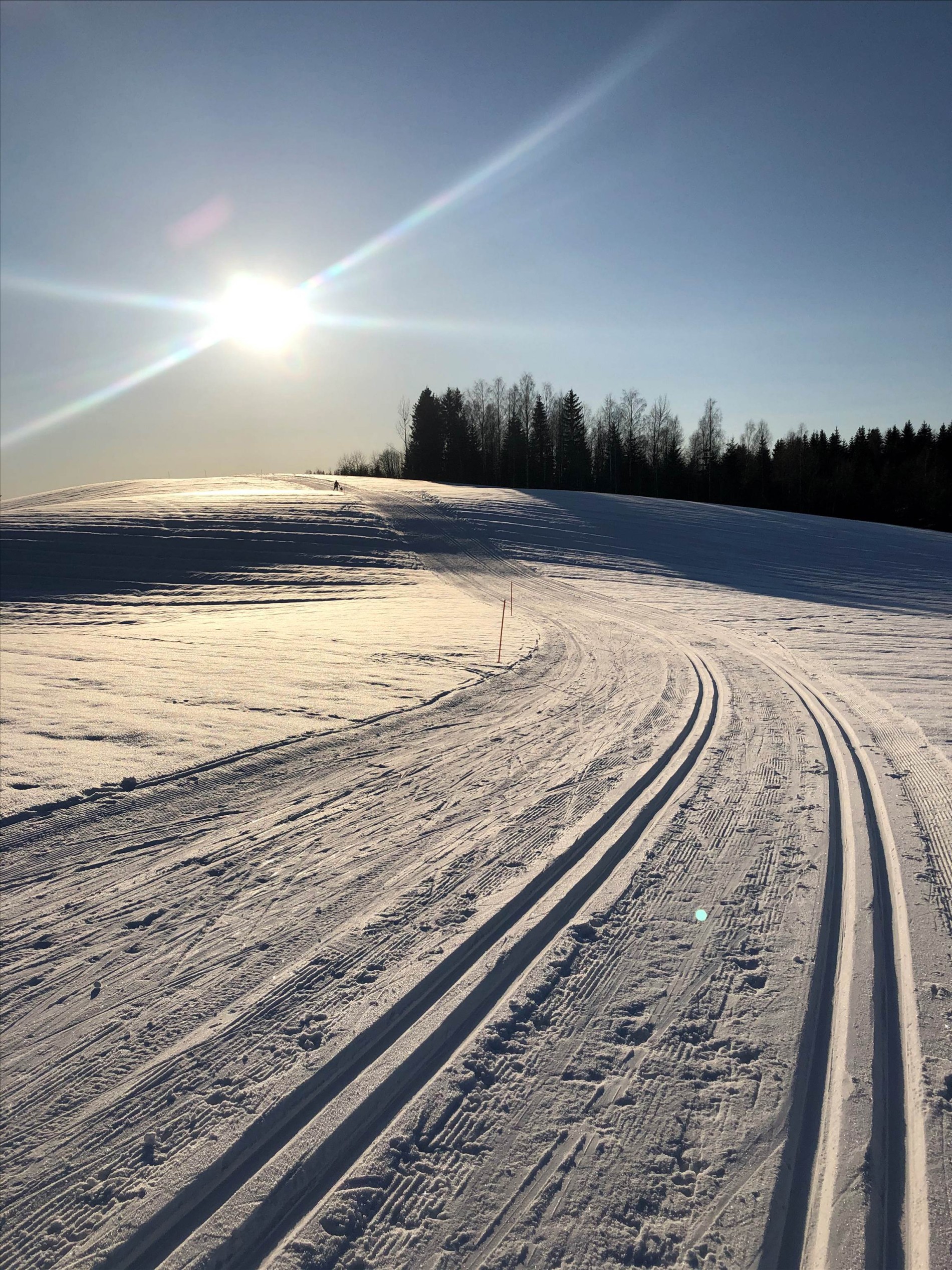 Flotte spor ved Svangerudenga