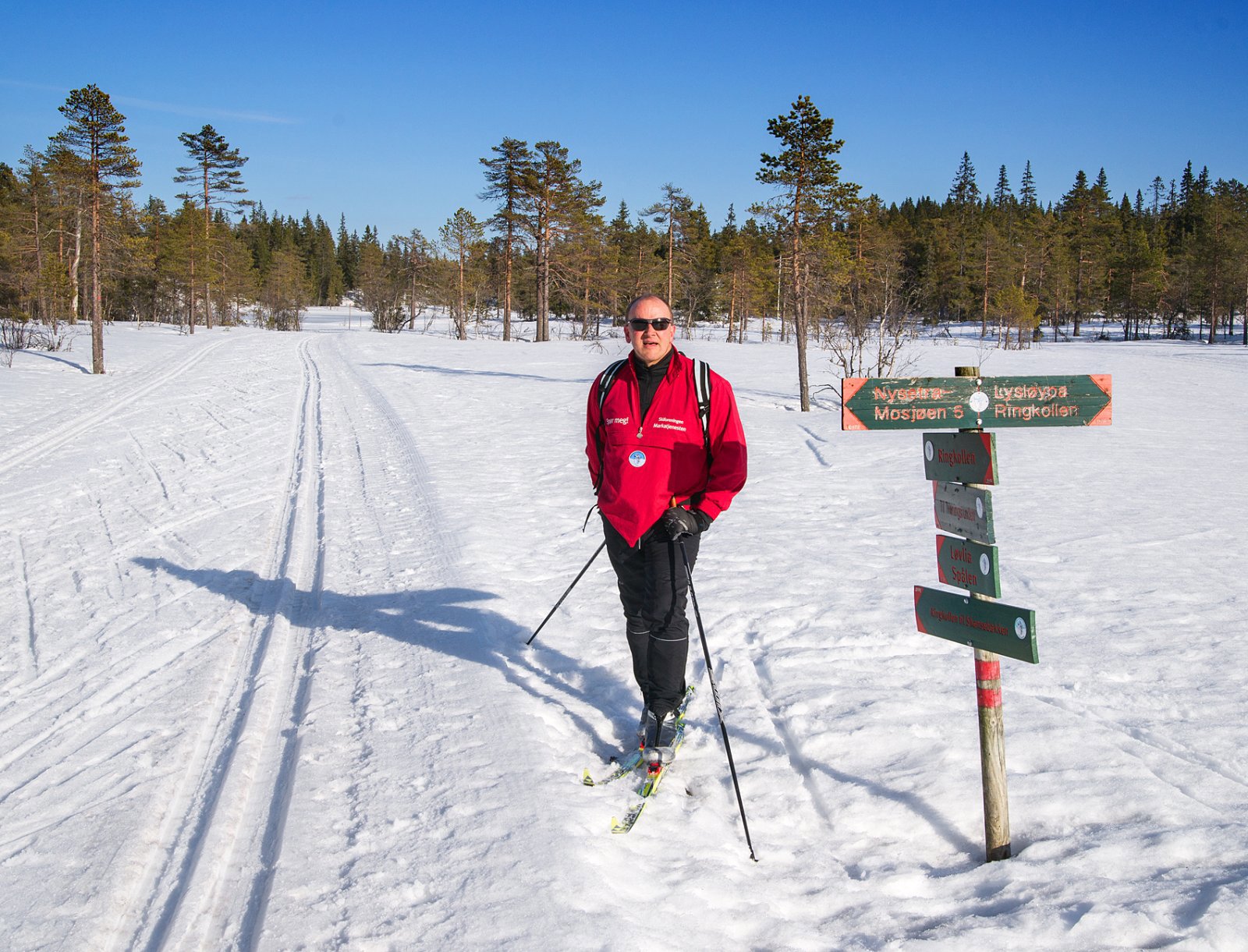 Flotte vårforhold ved Ringkollen